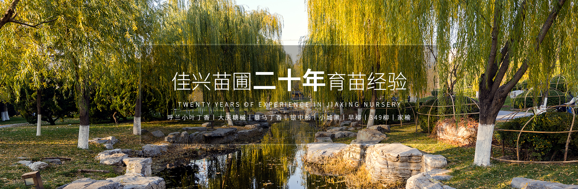 大庆苗圃