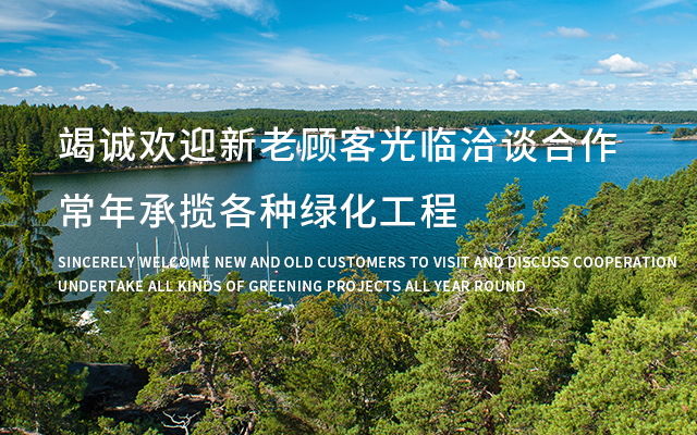 黑龙江苗木基地